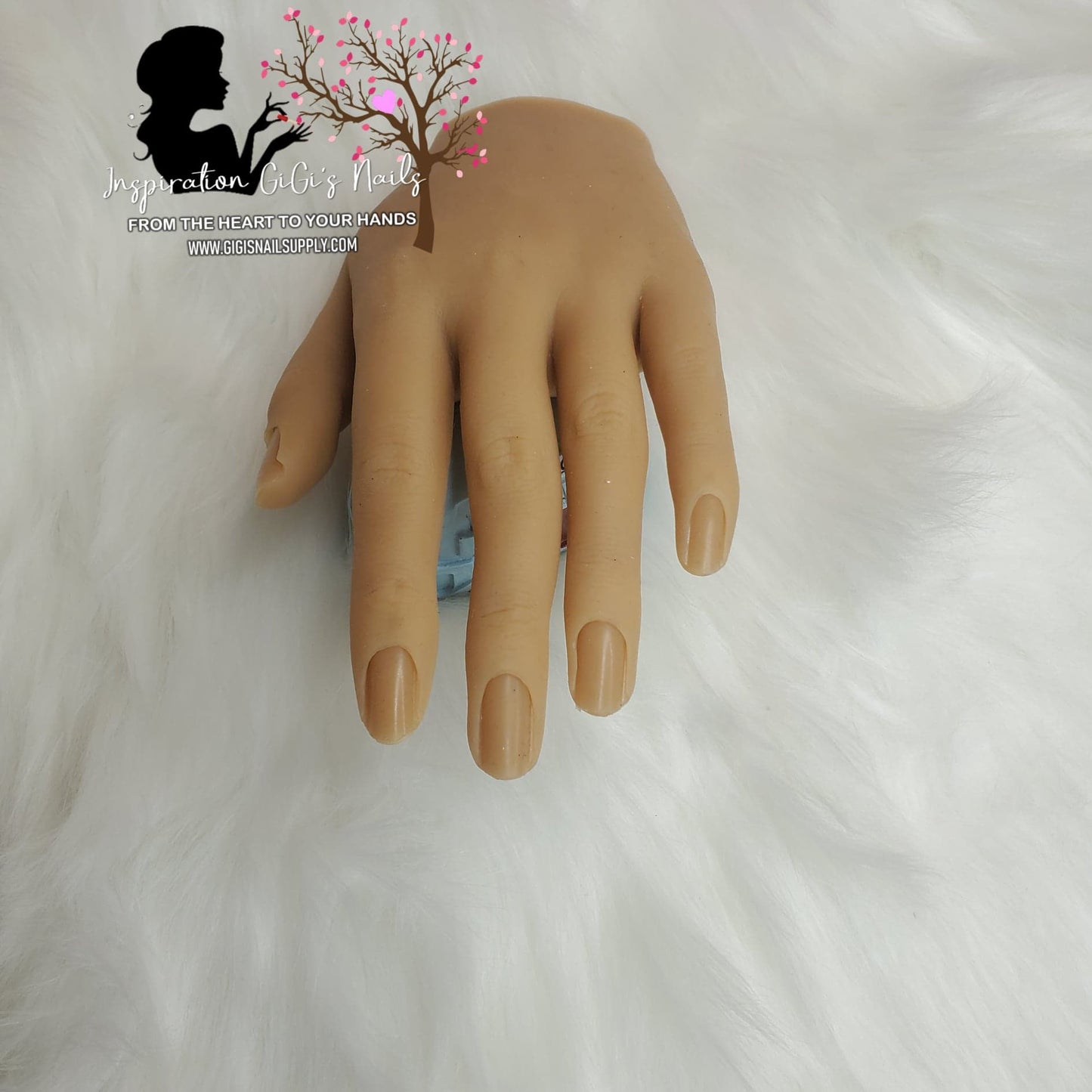 Rubber Hand & Stand